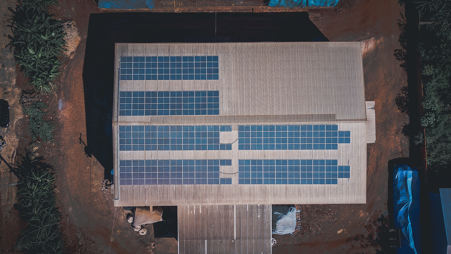 FIMI0316.jpg